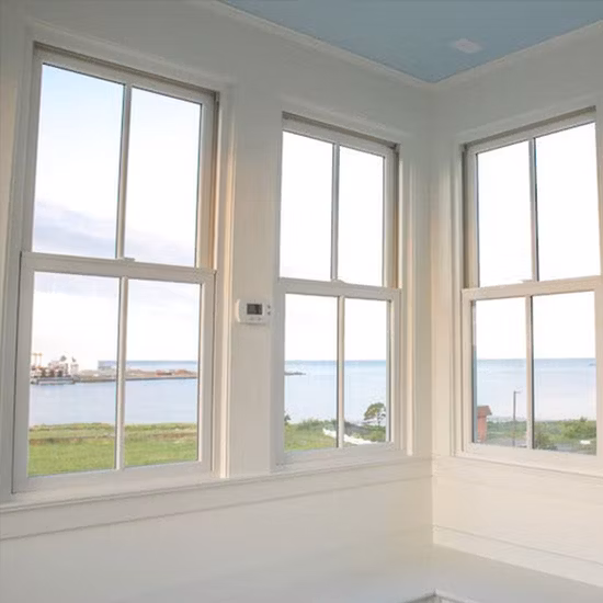 Vinyl/UPVC Double Hung Window Replacement for Modern House