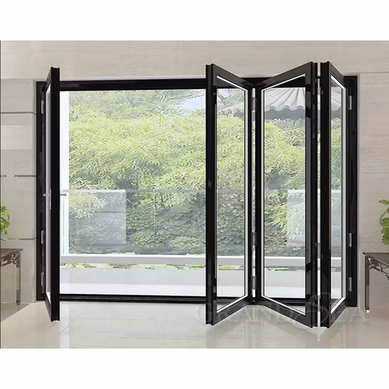 Nfrc Nafs American Standard Modern German Hardware Customized Entry Storm Doors Thermal Break Aluminum Aluminium Metal Commercial Bi
